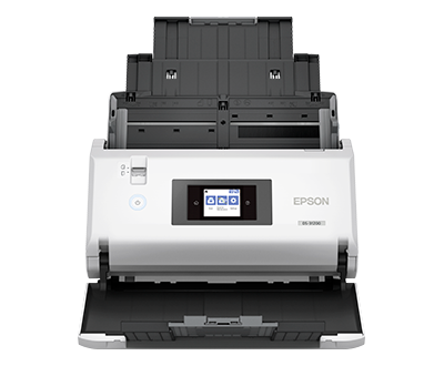 Epson DS-31100